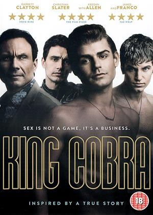 King Cobra (2016) คิง คอบร้า เปลื้องผ้าให้ฉาวโลก