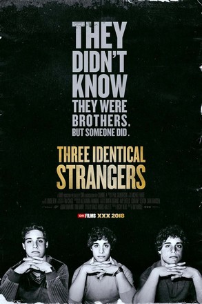 Three Identical Strangers (2018) แฝด 3