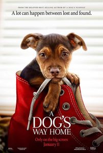 A Dog’s Way Home เพื่อนรักผจญภัยสี่ร้อยไมล์ (2019)