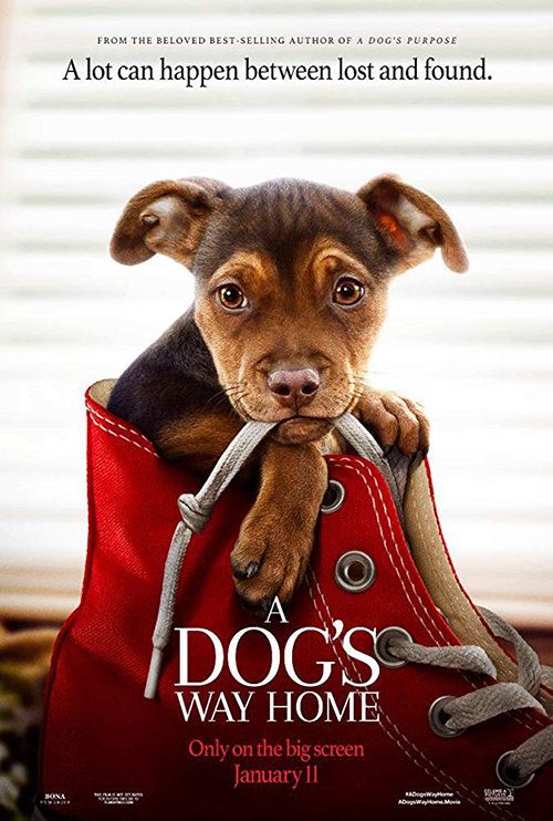 A Dog’s Way Home เพื่อนรักผจญภัยสี่ร้อยไมล์ (2019)