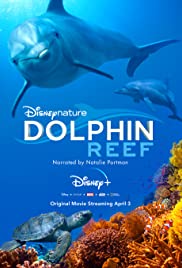 Dolphin Reef (2020) Disney+ อัศจรรย์ชีวิตของโลมา