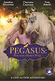Pegasus: Pony with a Broken Wing (2019)  ม้าเพกาซัสที่มีปีกหัก