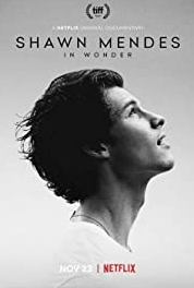 Shawn Mendes: In Wonder (2020) ช่วงเวลามหัศจรรย์