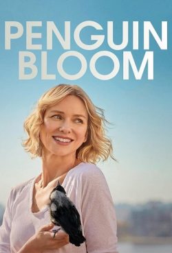Penguin Bloom (2021) เพนกวิน บลูม | Netflix