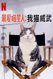 Kitty Love: An Homage to Cats (2021) ความรักแมวๆ แด่น้องเหมียว | Netflix