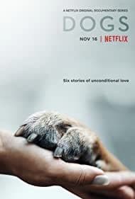 Dogs: Season 2 (2021) เพื่อนแท้สี่ขา | Netflix
