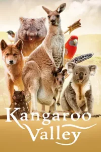 Kangaroo Valley (2022) หุบเขาแห่งจิงโจ้ | Netflix
