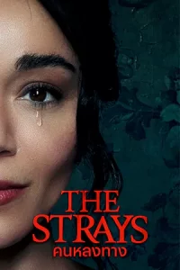 The Strays (2023) คนหลงทาง | Netflix