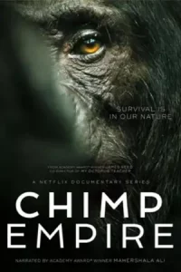 Chimp Empire (2023) อาณาจักรชิมแปนซี