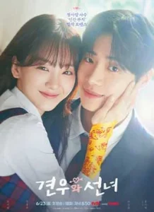Head Over Heels (2025)